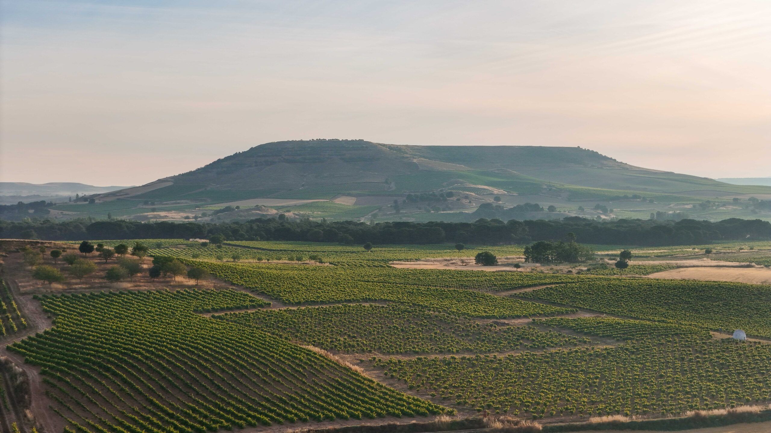 Paraje de Pedrosa