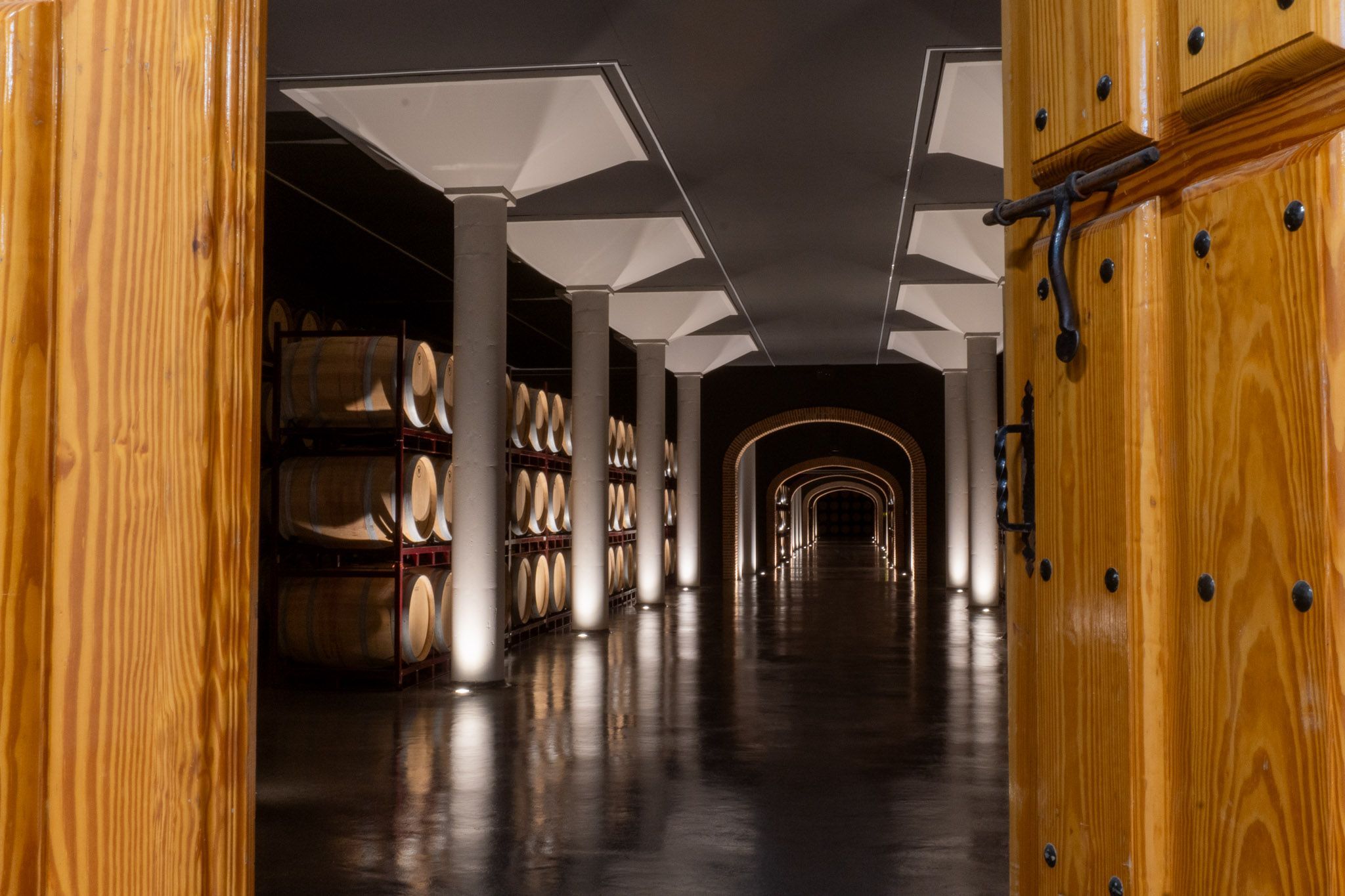 Visita Sabor y Tradición Bodegas Carmelo Rodero